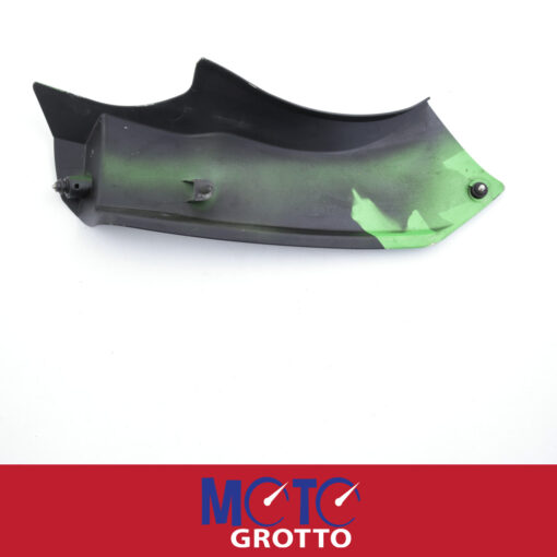 Ram air intake fairing panel - RH for Kawasaki ZX6R (03-04) , ZX600 (03-04) , ZX636 (03-04) , PN: 55028-1458