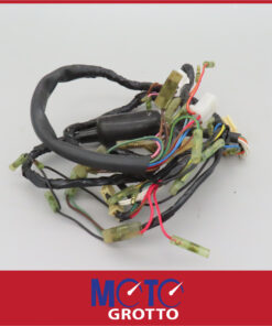 Wiring Loom/ Harness for Yamaha R5 (70) , R5B (71) , R5C (72) , DS7 (72)