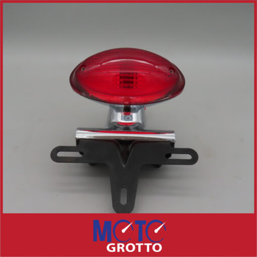 Triumph Bonneville T100  Rear Lamp And Number Plate Bracket