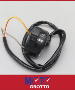 Suzuki DS80 (78-79) Handlebar Lighting Switch Assembly