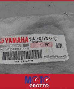 Alternative view of Yamaha FZS1000 Fazer (04) Tail Light Cover