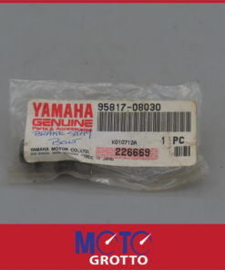 Alternative view of Brake Stay Bolt for Yamaha YZF750 SP  , YZF600R  , CW50  , XT660Z  , TDM900