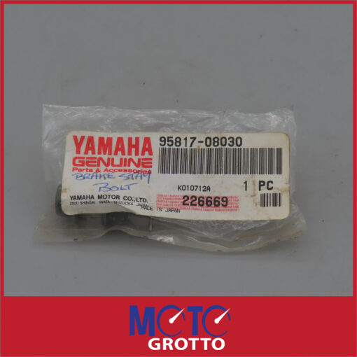 Brake Stay Bolt for Yamaha YZF750 SP  , YZF600R  , CW50  , XT660Z  , TDM900 - Image 2
