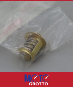 Thermostat for Yamaha TZR50  , YQ50  , CS50Z Jog RR  , NS50 Aerox R  , TZR50X Power