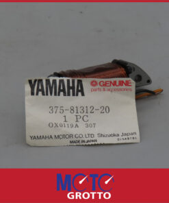 Alternative view of Yamaha DT100 (74-75) Ignition Source Coil